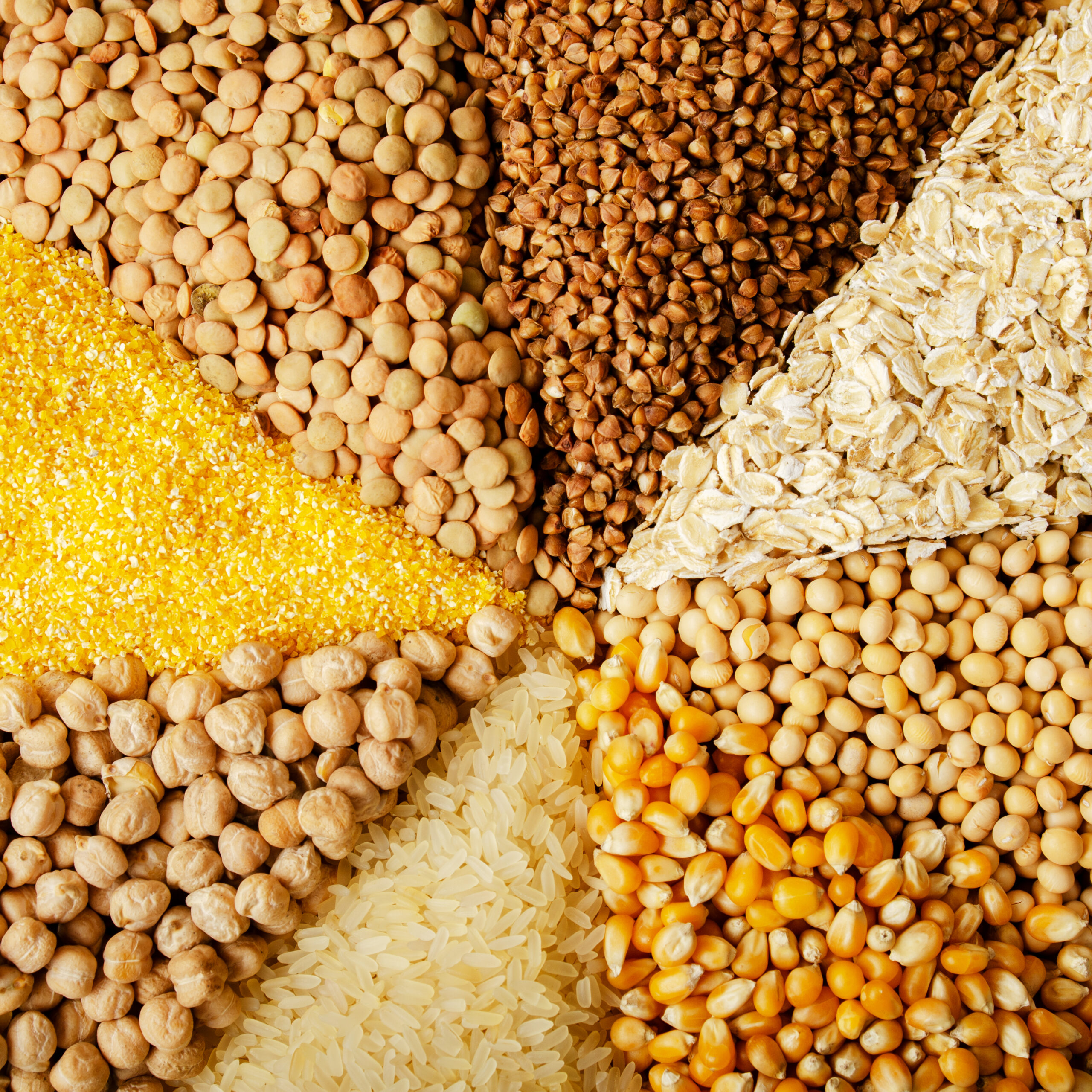 Grains, Rice & Pulses